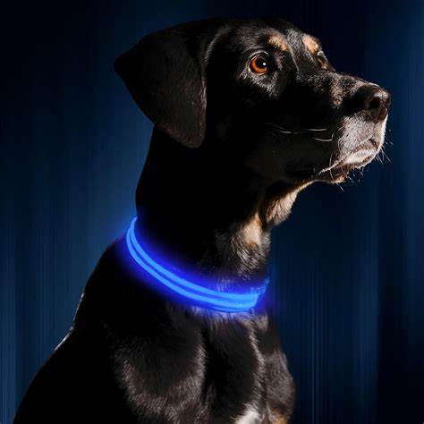 FlashPet - Coleira Nylon com LED Ultra Localizadora