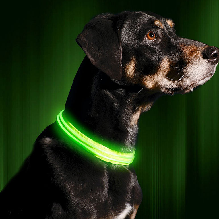 FlashPet - Coleira Nylon com LED Ultra Localizadora